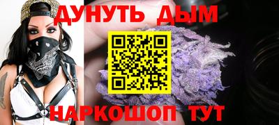 индика Беслан