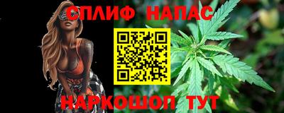 индика Беслан
